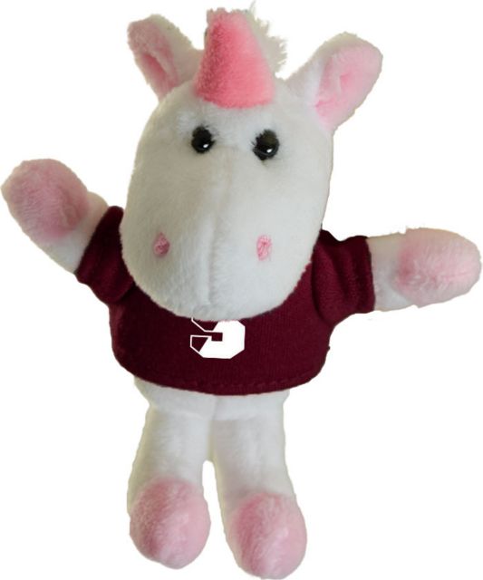 Springfield College Spirit Plush Magnet
